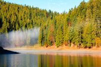 lake Synevyr in autumn. spruce forest reflection in morning light. fall season in Carpathian mountains. popular travel destination of Ukraine