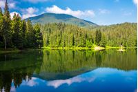 landscape near the lake among conifer forest in mountains in the early summer morning 