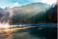lake among the pine forest in autumn. beautiful nature scenery in mountains. foggy environment concept