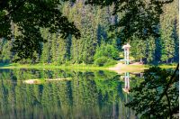 lake in Synevyr national park in summertime. beautiful nature of Carpathians. view from the forested shore