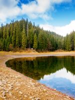 lake in carpathian mountains on a sunny autumn day. scenic view with coniferous forest reflection on the clear water. amazing cloudscape. beautiful landscape of synevyr national park of ukraine 