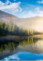 lake in spruce forest at foggy sunrise. gorgeous autumn landscape in Carpathian mountains