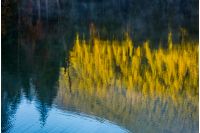 beautiful abstract nature background of lake surface reflecting spruce forest at sunrise textures