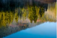 beautiful abstract nature background of lake surface reflecting spruce forest on hillside textures