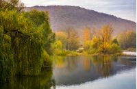 landscape with calm river in autumn. beautiful mountainous scenery with red and yellow foliage