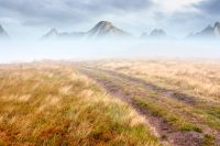 landscape with dirt road through field in fog in summer. yellow grass on the hills under overcast sky. mystery atmosphere countryside composite photo