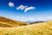 landscape with grassy meadow of krasna ridge on a sunny day. carpathian mountain scenery of ukraine in summer. transcarpathia travel background. beauty in nature of green alpine environment