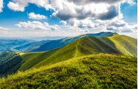 lovely green grassy hills of mountain ridge. gorgeous mountainous landscape in Carpathians on cloudy summer day