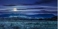 summer rural landscape. meadow near the village on mountain hillside at night in full moon light