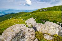 landscape with grassy meadow with giant boulders on the slope of a hill in Carpathian mountain ridge on a beautiful sunny summer day
