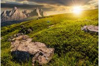 High Tatra mountain summer landscape. meadow with huge stones among the grass on top of the hillside near the peak of mountain range at sunset