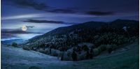 mountain landscape. hillside with trees on green grassy meadow near foggy mountains under overcast sky at night in full moon light
