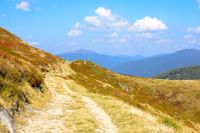 mountain dirt road through grassy alpine meadow. wonderful outdoor adventure in autumn afternoon light. hiking through krasna ridge of transcarpathia, ukraine. clouds on the blue sky