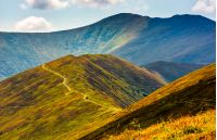 beautiful summer landscape. grassy meadow on a hillside of mountain ridge. good weather with blue sky and few clouds