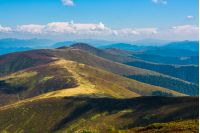 beautiful summer landscape. forest and grassy meadow on a hillside of mountain ridge