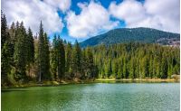 mountain lake Synevir among the green spruce forest in picturesque summer landscape. reflection in crystal clear water. beautiful springtime weather with blue sky and some clouds at sunrise