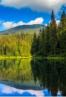 mountain lake among the green fir forest in picturesque summer landscape. reflection in crystal clear water. beautiful weather with blue sky and some clouds at sunrise