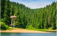 mountain lake among the green fir forest in picturesque summer landscape. beautiful weather with blue sky and some clouds in TransCarpathian National Park Synevir, Ukraine