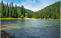 mountain lake among the green fir forest in picturesque summer landscape. beautiful weather with blue sky and some clouds in TransCarpathian National Park Synevir, Ukraine