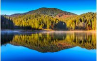 View on crystal clear lake with mist and reflection on the water. Spruce forest on foggy autumn morning. Majestic mountain landscape at sunrise.