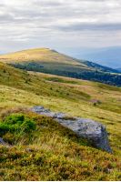 late summer mountain landscape. stone in the grass on the hillside