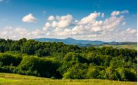 beautiful summer landscape. mountain ridge with high peak behind the forest. lovely sky with clouds