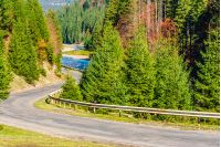 Empty winding asphalt road near the mountain river in autumn forest