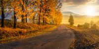 old asphalt road winding through the fog to village in mountains. forest with yellow foliage in morning light at sunrise. beautiful panoramic countryside landscape