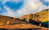mountain rural area in autumn season. agricultural field in fog on a hill. beautiful and vivid countryside landscape.