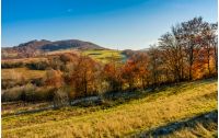 mountain rural area in late autumn season. agricultural field on a hill near the forest with red foliage. beautiful and vivid countryside landscape.