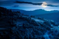 mountainous rural landscape in summer at night. field and forest on the hill in full moon light. alpine countryside in remote region of carpathian mountains