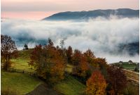 orchard with red foliage in foggy mountains. gorgeous rural autumn scenery at dawn