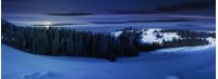 panorama of a beautiful winter landscape at night in full moon light. spruce forest on a snow covered hills. part of trees in the shade. wonderful nature scenery in mountains