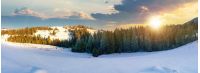 panorama of a beautiful winter landscape at sunset in evening light. spruce forest on a snow covered hills. part of trees in the shade. wonderful nature scenery in mountains
