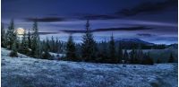 panorama of beautiful countryside in mountains at night in full moon light. spruce trees on the meadow. top of the snow covered ridge in the distance. wonderful nature scenery
