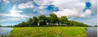 panorama of the longest linden alley in blossom. beautiful landscape on a sunny day with some clouds on a blue summer sky. Location Uzhgorod, Ukraine