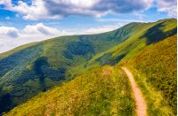 winding road through large meadows on the hillside of Carpathian mountain range