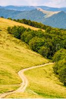winding path through large meadows on the hillside leads in to the forest. mountain ridge landscape in summer time