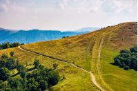 path through grassy meadows on mountain ridge. lovely alpine autumnal scenery in fine sunny afternoon weather