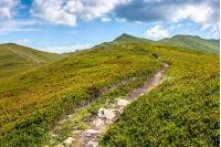 summer mountain landscape. path through the ridge to the top peak