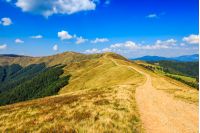 summer mountain landscape. path through the ridge to the top. fine weather with blue sky and few clouds