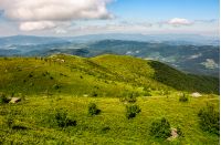 picturesque landscape with grassy mountain meadow. beautiful Carpathian scenery