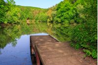 wooden piere on the lake with reflections among forest on summer morning