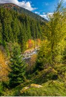 powerful mountain brook with rocky shore in valley. lovely autumnal nature background