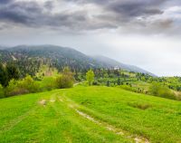 remote countryside in mountain landscape. hazy weather during spring. dirt road through lush green pasture on a hill. alpine vista with deciduous trees beneath an overcast sky