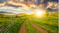 winding road near the wooden fence through the agricultural grassy meadow with lonely tree on hillside in high mountains at sunset
