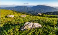 landscape with rocks on grassy alpine hillside of Carpathian mountain ridge. Gorgeous view of Polonina on fine summer weather
