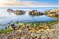 rocky coast with seaweed near the blue sea