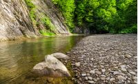 rocky shore of calm forest river. fresh summer nature background