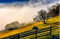 rural area on hillside in autumn season. agricultural field and houses in fog behind the fence. beautiful and vivid countryside scenery.